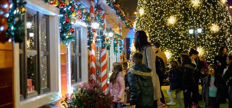 Stage Decor Golden Hall